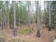 Lot 154 Murphy Road, Captain Creek QLD 4677