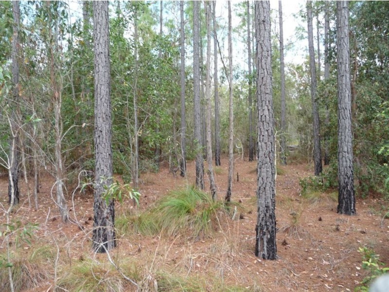 Lot 154 Murphy Road, Captain Creek QLD 4677