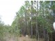 Lot 154 Murphy Road, Captain Creek QLD 4677