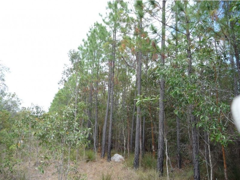 Lot 154 Murphy Road, Captain Creek QLD 4677