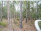 Lot 154 Murphy Road, Captain Creek QLD 4677