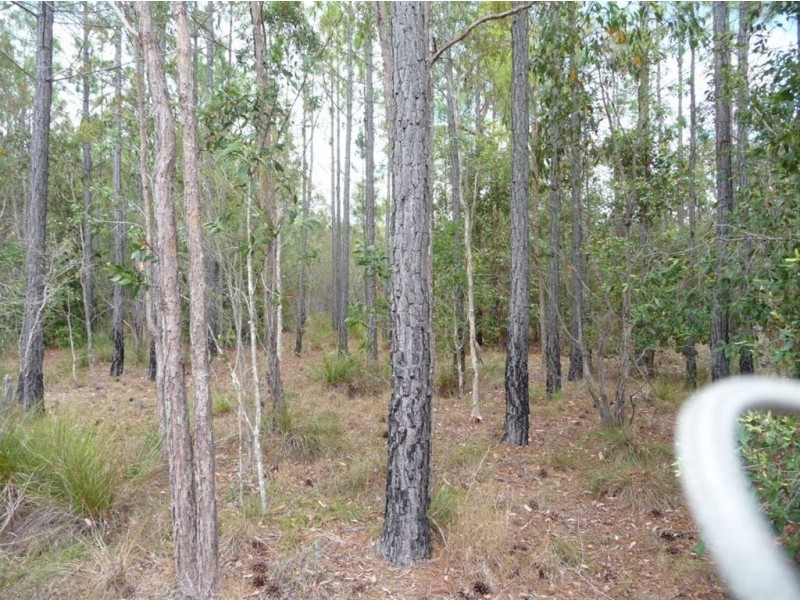 Lot 154 Murphy Road, Captain Creek QLD 4677