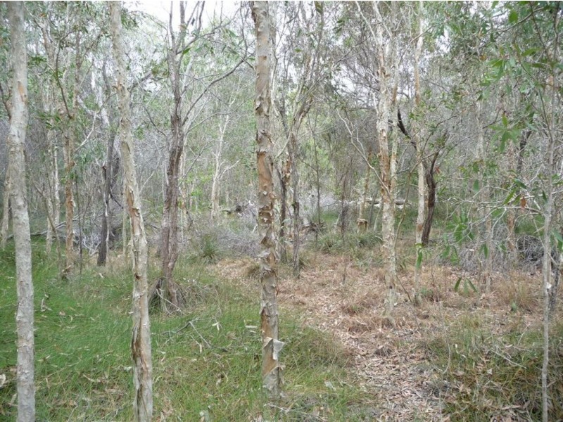 Lot 373 Streeter Drive, Agnes Water QLD 4677