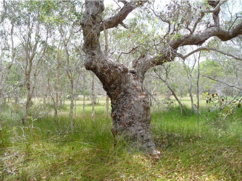 Lot 373 Streeter Drive, Agnes Water QLD 4677