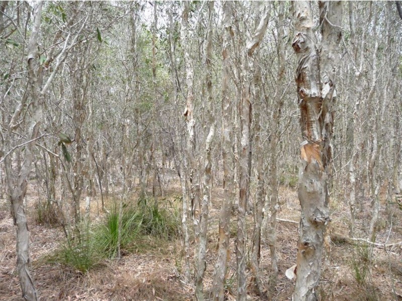 Lot 373 Streeter Drive, Agnes Water QLD 4677