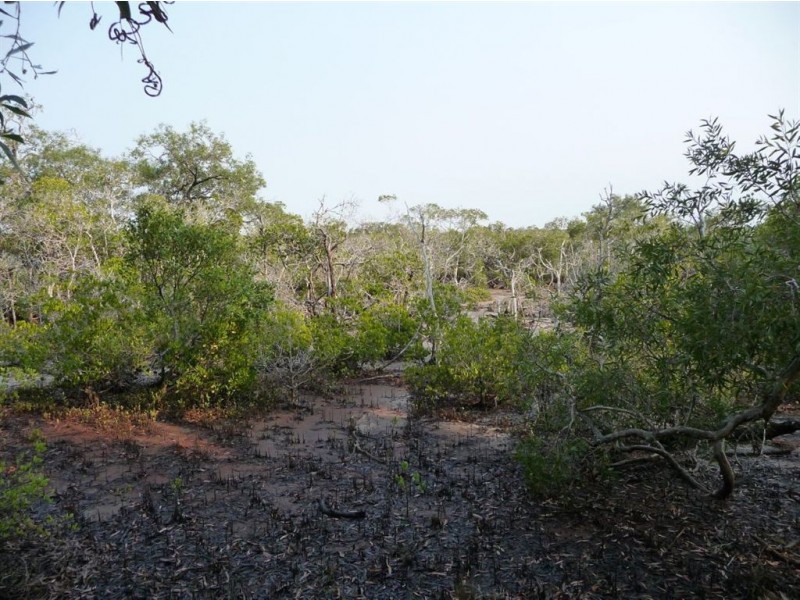 Lot 125 Masthead Drive, Agnes Water QLD 4677