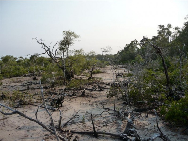 Lot 125 Masthead Drive, Agnes Water QLD 4677