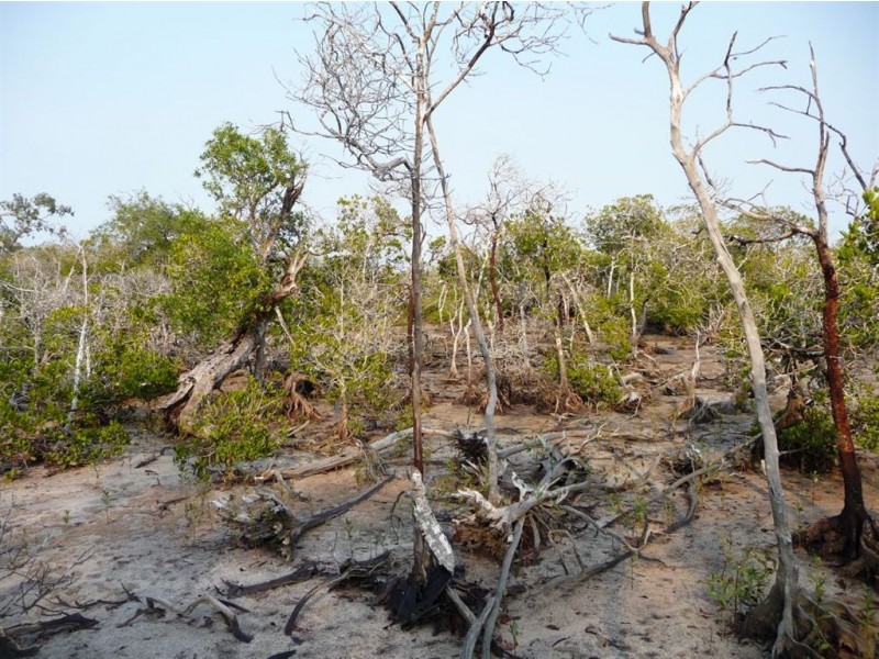 Lot 125 Masthead Drive, Agnes Water QLD 4677