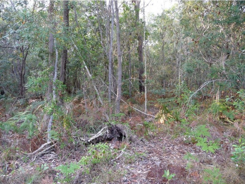 Lot 125 Masthead Drive, Agnes Water QLD 4677