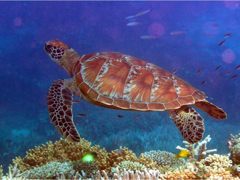 15 Lots Rules Beach Road (proposed), Rules Beach QLD 4674