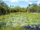 137 Josefski Road, Agnes Water QLD 4677