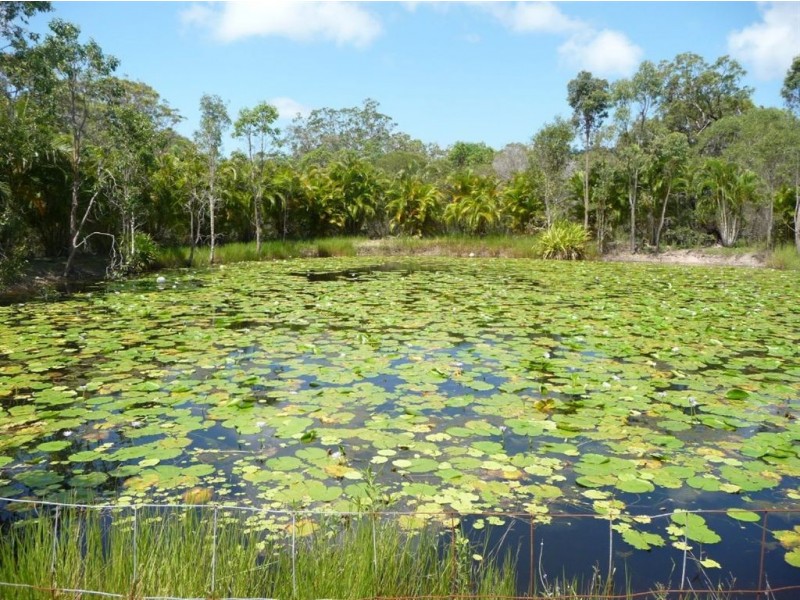 137 Josefski Road, Agnes Water QLD 4677