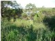 14 Woodrow Drive, Agnes Water QLD 4677