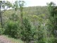 25 Moffett Court, Agnes Water QLD 4677