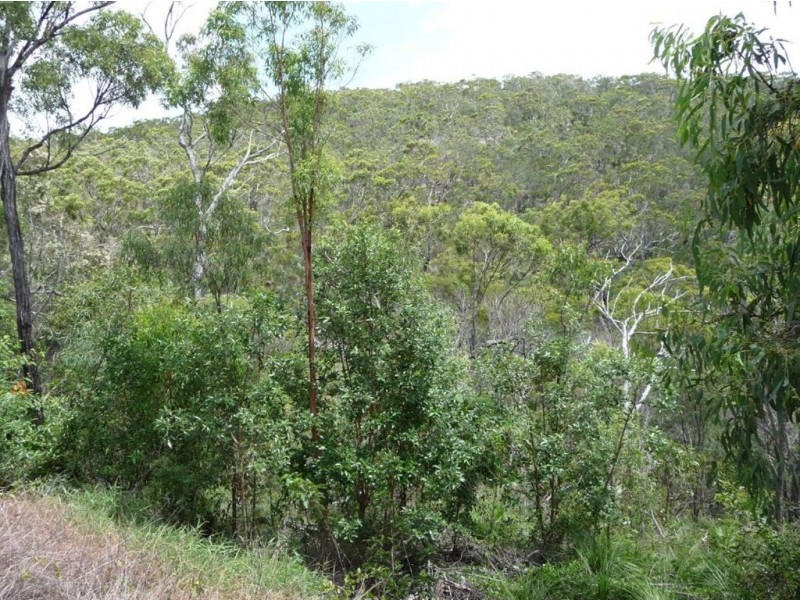 25 Moffett Court, Agnes Water QLD 4677