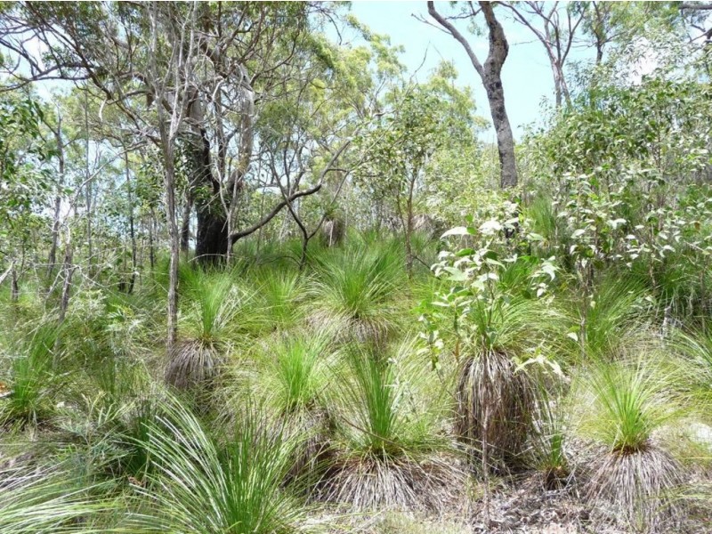 25 Moffett Court, Agnes Water QLD 4677