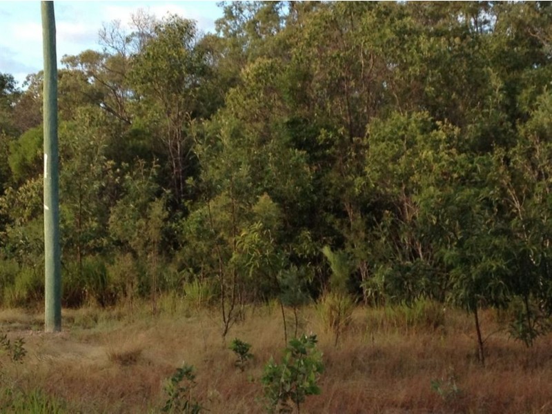 Lot 155 Murphy Road, Captain Creek QLD 4677