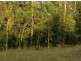 Lot 155 Murphy Road, Captain Creek QLD 4677