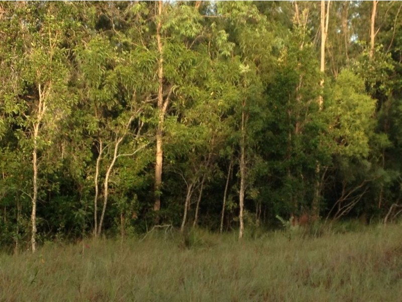 Lot 155 Murphy Road, Captain Creek QLD 4677