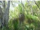 Lot 119 Bills Road, Agnes Water QLD 4677