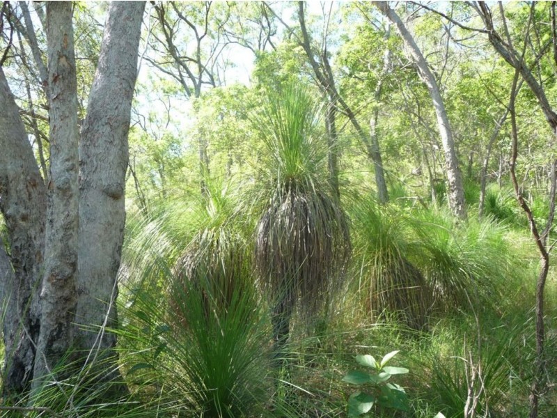 Lot 119 Bills Road, Agnes Water QLD 4677