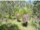 Lot 119 Bills Road, Agnes Water QLD 4677