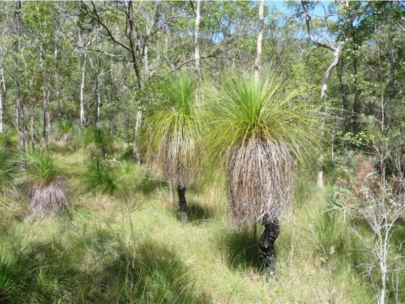 Lot 119 Bills Road, Agnes Water QLD 4677