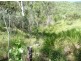 Lot 119 Bills Road, Agnes Water QLD 4677