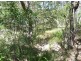 Lot 119 Bills Road, Agnes Water QLD 4677