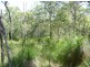Lot 119 Bills Road, Agnes Water QLD 4677
