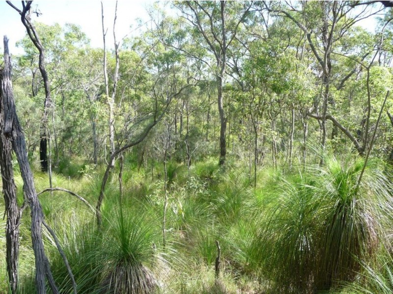 Lot 119 Bills Road, Agnes Water QLD 4677