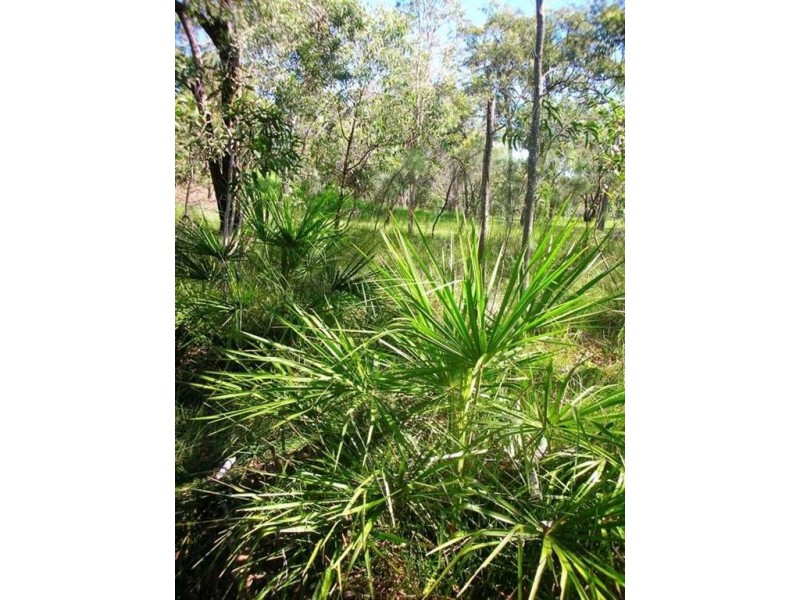 109 Streeter Drive, Agnes Water QLD 4677