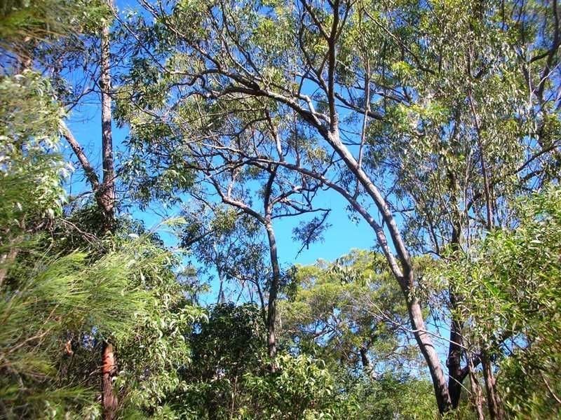 109 Streeter Drive, Agnes Water QLD 4677