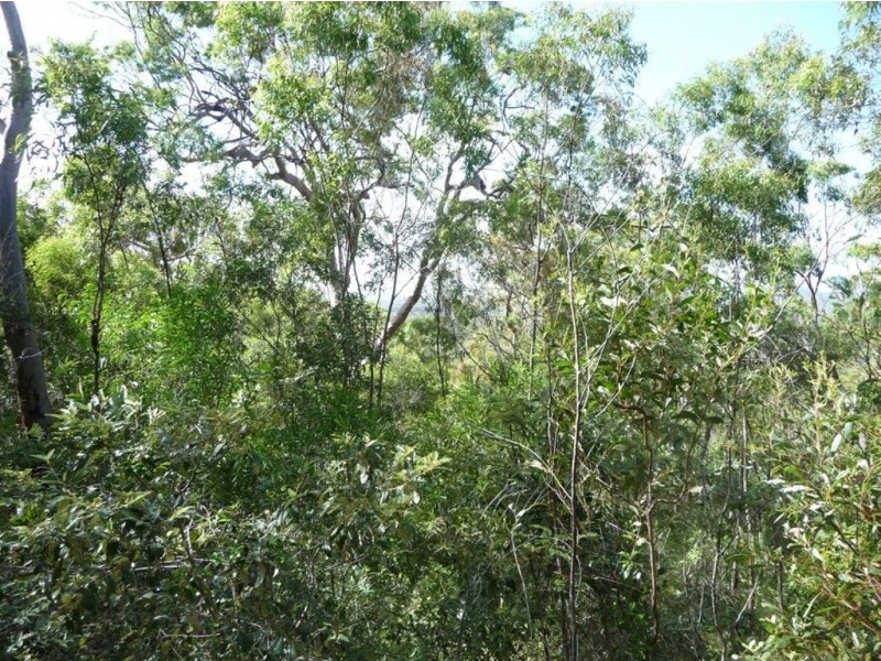 L50 Fitzroy Crescent, Agnes Water QLD 4677