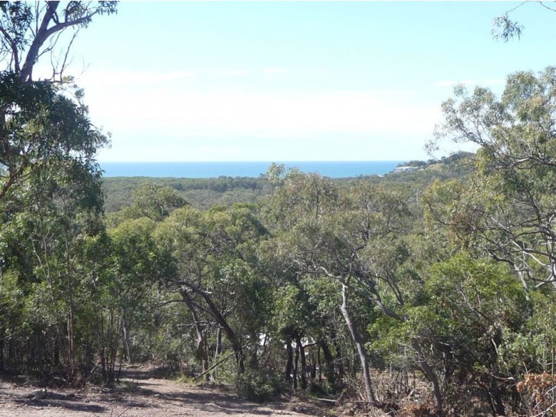 L50 Fitzroy Crescent, Agnes Water QLD 4677