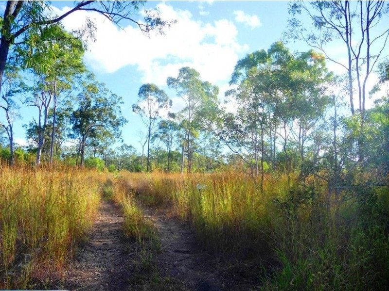 825 Round Hill Road, Captain Creek QLD 4677