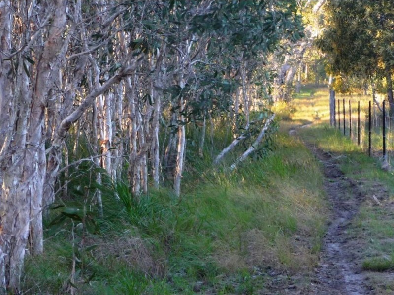 45 Streeter Drive, Agnes Water QLD 4677