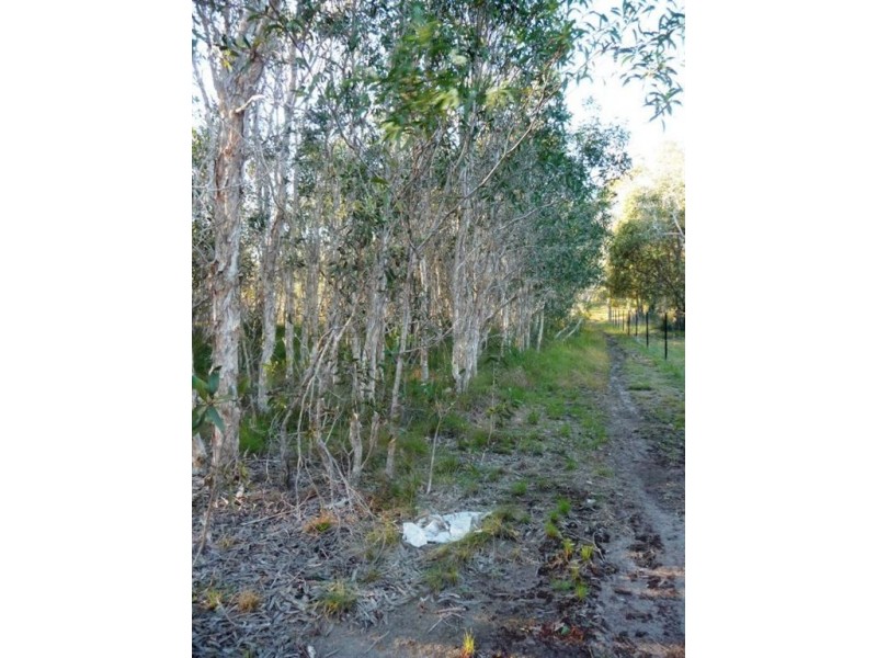 45 Streeter Drive, Agnes Water QLD 4677