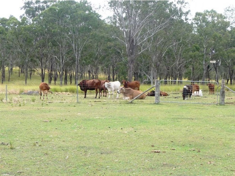 2301 Fingerboard Road, Mount Tom QLD 4677