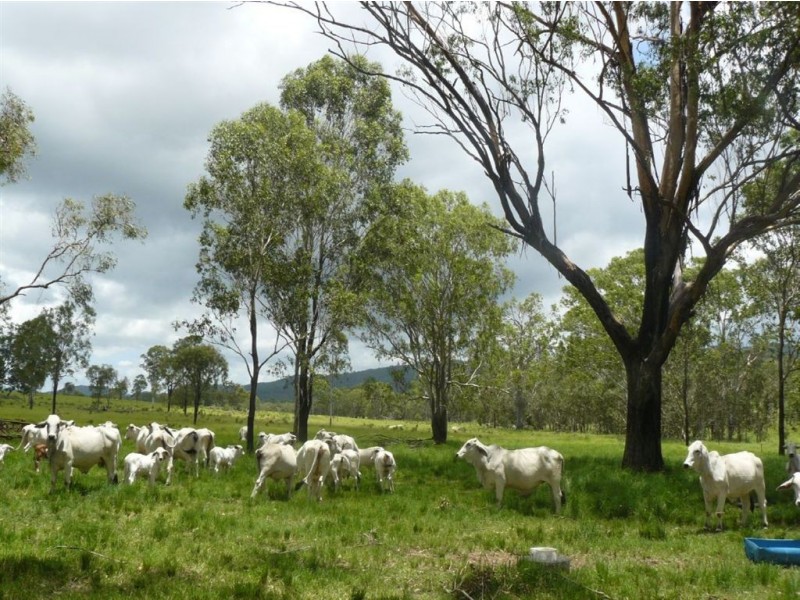 50 Tableland Road, Mount Tom QLD 4677
