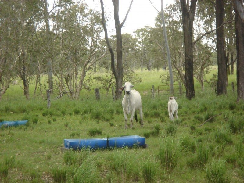 50 Tableland Road, Mount Tom QLD 4677