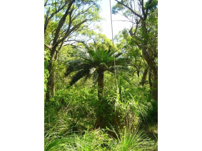 52 McGhee Crescent, Agnes Water QLD 4677