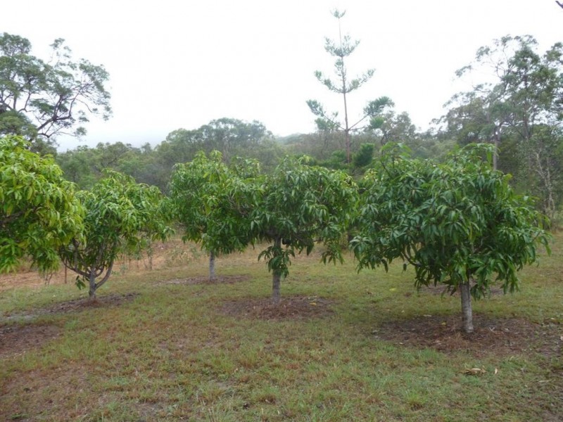 224 Lady Elliot Drive, Agnes Water QLD 4677