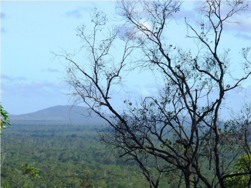 Lot 42 Dillon Road, Captain Creek QLD 4677