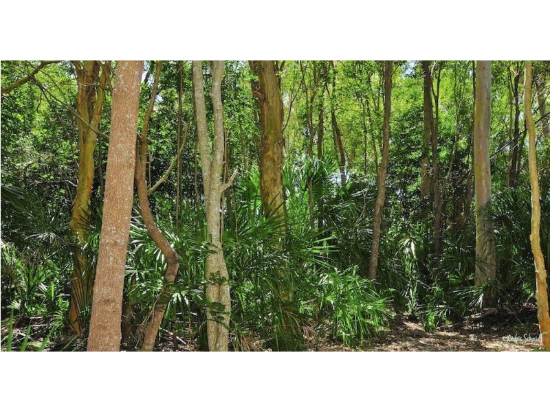 74 Innamincka Way, Agnes Water QLD 4677