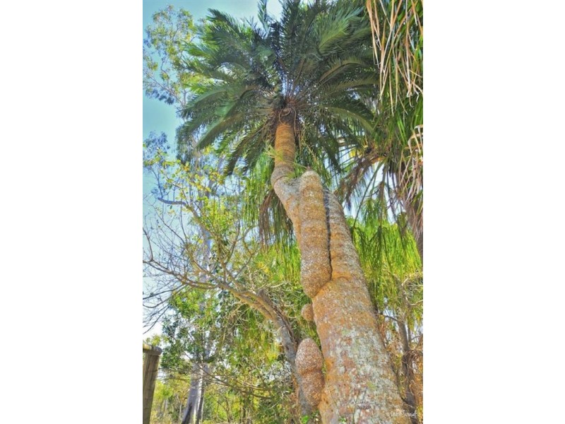 74 Innamincka Way, Agnes Water QLD 4677