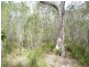 Lot 439 Anderson way, Agnes Water QLD 4677