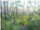 Lot 15 Creevey Drive, Captain Creek QLD 4677