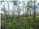 Lot 15 Creevey Drive, Captain Creek QLD 4677