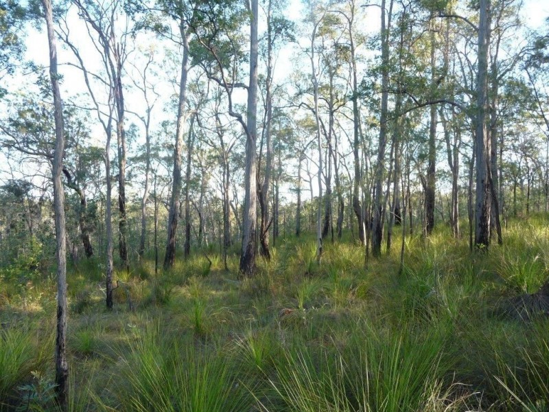 Lot 15 Creevey Drive, Captain Creek QLD 4677